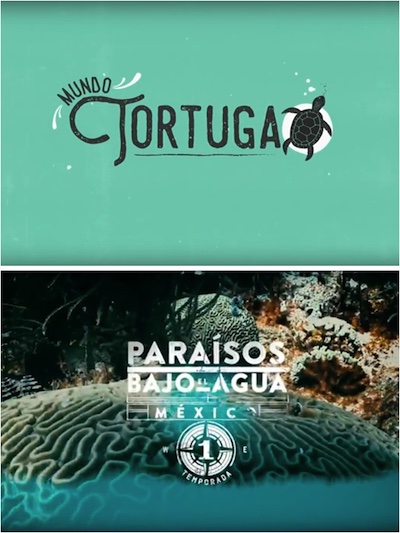 Collage. Image 1: Phrase Mundo Tortuga over a green background, a tortle floats at the end of the sign. Image 2: Over the image of a coral reef, the phrase Paraísos Bajo el Agua México 1 Temporada.