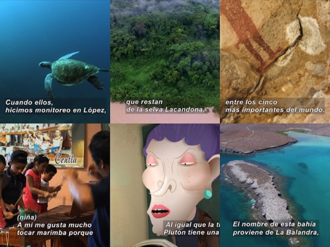 Collage with 6 captioned images: a turtle in the ocean, a forest, a rock painting, children playing a marimba, animation of an old lady with a long nose, a coast on a turquoise sea..